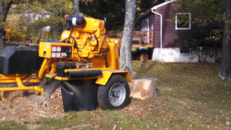 stump grinding tree services