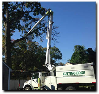 Cutting Edge Tree Trimming Equipment