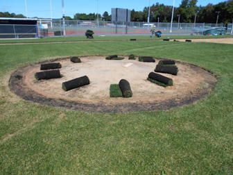baseball field restoration